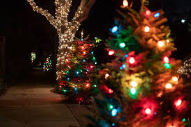 Thank you so very much for your kind donations. Spreading Light And Joy Christmas Tree Lanes Are Popping Up All Over Town News Palo Alto Online