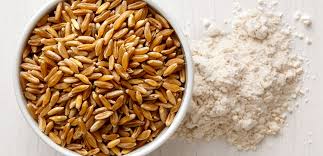 According to kamut international, khorasan grain that is advertised as being kamut must adhere to special qualifications which indicates it is pure kamut. What The Heck Is Kamut Jane Dummer Rd