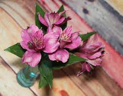 We did not find results for: 8 Best Cut Flowers For Home Decor By Lily S Florist