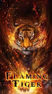 Fire tiger free wallpaper pc, desktop wallpaper, wallpaper hd, desktop images, iphone papers, iphone wallpaper hd. Galaxy Fire Cool Tiger Wallpapers Novocom Top