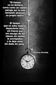 Pin By Patricia Correia On Poesia Patricia Correia Accessories Pocket Watch