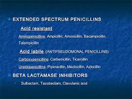 Image result for Extended Spectrum Penicillin