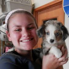 Our Veterinary Health Care Team in Clinton