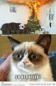 Happy Cat Funny Grumpy Cat Memes Grumpy Cat Christmas Grumpy Cat Meme