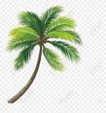 Download Hd Coconut Tree Clipart Real Coconut Tree Png Transparent Png And Use The Free Clipart For Your Creative Project Clip Art Tree Clipart Free Clip Art
