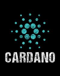 Tangem cards are hardware wallets, in the form of a card, made to store your crypto funds that each tangem card contains only two elements: Cardano Ada 2021 2022 2021 2022 Weekly Planner Calendar With Daily Task Checklist Gratitude Journal 8 X 10 Publishing Crypto 9798558261844 Amazon Com Books