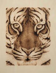 All The Better To Eat You With Tiger Face Pyrography Woodburning By Cara Jordan Wood Burning Art Pyrography Art Wood Carving Art