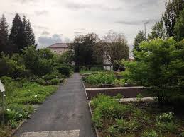 Stadt göttingen / christoph mischke. Alter Botanischer Garten Gottingen Zx Zarkov De