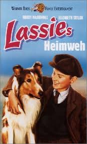 The movieclips channel is the largest collection of licensed movie clips on the web. Lassie Come Home 1943 Photo Gallery Imdb