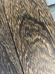 Image result for Millettia stuhlmannii