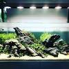 Aquarium bisa dipesan sesuai ukuran yang diinginan. Https Encrypted Tbn0 Gstatic Com Images Q Tbn And9gcrnfjirelefzrjh4rf8mksjkzjznej2spnuazweewic8fag15lv Usqp Cau