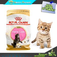 Makanan kucing royal canin maine coon. Makanan Kucing Royal Canin Maine Coon Kitten 400g Shopee Indonesia