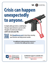 Image result for Gun Safety