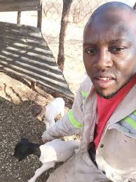 We visited today and got some goodies 🚜 loved it !