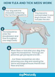 First, if your animal is already on the medication, just bring the bottle or tube to the pharmacy during your next visit. Flea And Tick Prevention Doberman Chat Forum