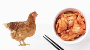 Dark leafy greens can result in darker, richer yolks. Can Chickens Eat Kimchi Is Fermented Food Good For Chickens