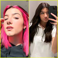 If you're obsessed with the tiktok star like we are, then you're going to love this new influencer pack designed by the one and only, charli d'amelio!! Charli D Amelio Ditches Short Pink Hair For Longer Locks Charli D Amelio Hair Just Jared Jr