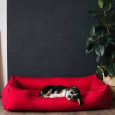 Conceived in a simple yet very effective way, this bed's memory foam is firm but not stiff. Memory Foam Dog Beds January 2021 Review Dogsrecommend