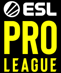 The format for the pro league is four doubles matches in the men's division and two doubles matches in the women's division. Esl Pro League Season 14