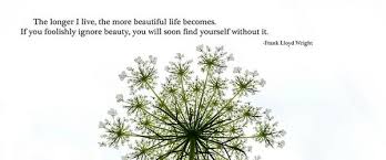 How many famous movie quotes can you remember? Famous Quotes About Goal Setting Self Improvement And Achieving Your Ambitions A Listly List