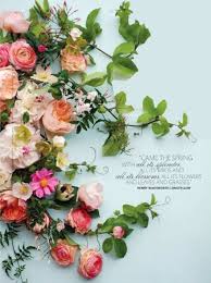 Spring Forward Spring Flowers Beautiful Flowers Flower Arrangements
