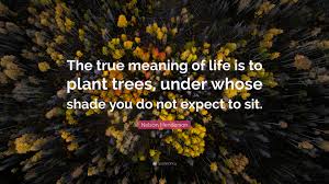 Explore 719 trees quotes by authors including alice walker, martin luther, and dolly parton at brainyquote. Nelson Henderson Quote The True Meaning Of Life Is To Plant Trees Under Whose Shade You