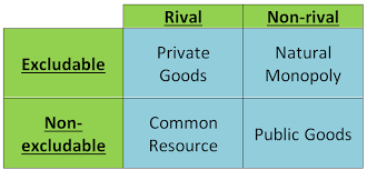 Black and white original kitchen interior with a concrete floor, black and blue countertops and panoramic windows. How To Classify Goods Especially Public Goods Reviewecon Com
