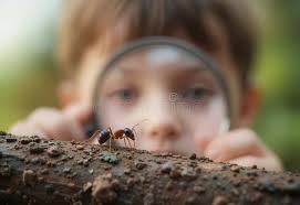 Child Ant Stock Illustrations