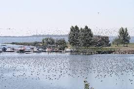 511 catches are logged on fishbrain. Lake Newell Resort And Marina Home Facebook