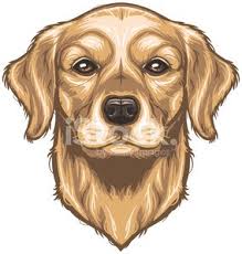 Free for commercial use no attribution required high quality images. Vector Golden Retriever Vector Images And Illustration
