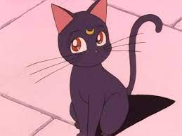 Sailor moon badge airpods case luna cat soft cover for apple bluetooth earphone. Cute Anime Caps Sailor Moon Cat Sailor Moon Luna Sailor Moon Wallpaper