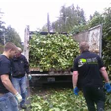 Shop at acton ace hardware at 210 main st, acton, ma, 01720 for all your grill, hardware, home improvement, lawn and garden, and tool needs. Yard Waste Removal Green Waste And Leaf Removal Junk Guys