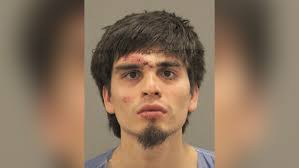 La familia que sobrevivió al apuñalamiento en Illinois agradece a un hijo y  a su perro por salvarles la vida