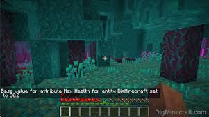 You can give yourself extra hearts depending on the potion effect level. How To Use The Attribute Command In Minecraft