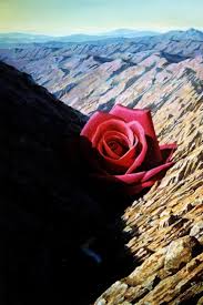 Ernesto Arrisueno Surrealism Painting Surreal Art Rose Art