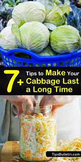 Maybe you would like to learn more about one of these? 7 Tips To Make Your Cabbage Last A Long Time Cabbage Pickled Cabbage Canning Recipes