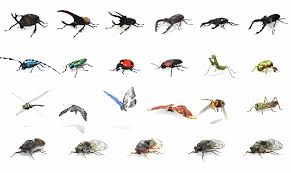 Efemeridele sunt insecte zburătoare denumite popular „rusalii, după perioada în care apar. Google A AdÄƒugat Insecte La ColecÈ›ia Sa De Animale 3d