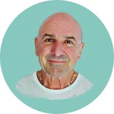 Meet the Whippet Digital Team