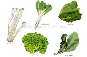 Alimentation Et Cuisine Alimentation Legumes Legumes Feuilles Image Dictionnaire Visuel Idee Legume Legumes Feuilles De Plantes