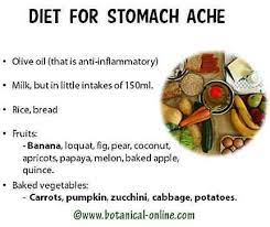 Plant-Based Diet For Stomach Ache – Botanical Online
