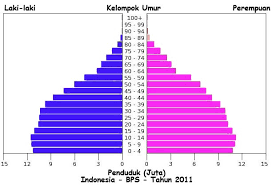 Pengertian Jenis Komposisi Penduduk Materi Pelajar