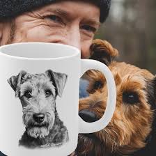 Image result for velšteriér