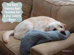 Find pet furniture at wayfair. The Best And Worst Fabrics And Finishes For A Dog Lover S Home