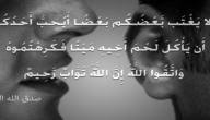 أسباب نزول سورة الحجرات موضوع
