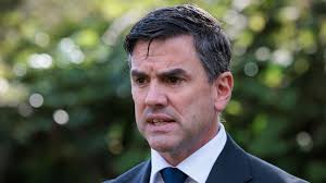 Sarah Tricarico: Tony Mokbel lawyer charged with driving offences