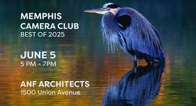 Memphis Camera Club: Best of 2025