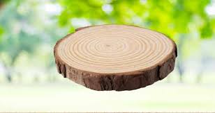 However, this rule of thumb has exceptions, so knowing the tree type and its water content is important. How To Keep Green Wood From Splitting With Preventing Tips