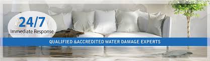Carpet that has become wet must be dried within 48 hours, or mold can begin to grow, which will leave the carpet unsalvageable. 3 Ways Of Dryinga Damp Rug In A Swamped Basement Total Flood Damage Melbourne