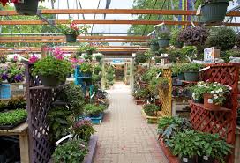 Stroll through our rainbow gardens of gifts, food & fun! Five Amazing San Antonio Nurseries Mitogrow