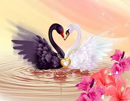 Black And White Swan Full Diamond Embroidery Lovers Black And White Swan Diy Diamond Painting Romantic Decoration For The Bedroom A Good Wedd Swan Painting Cross Paintings Bird Art
